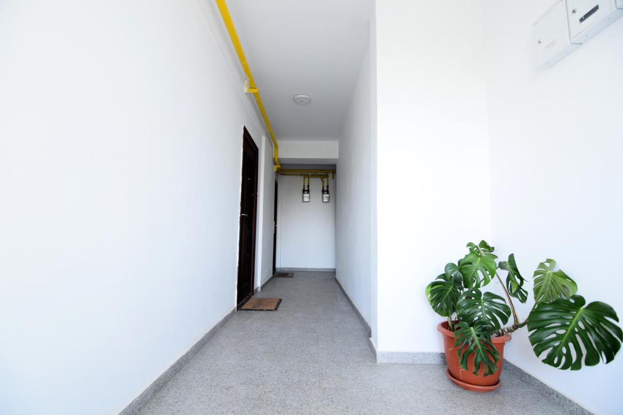 Ioana Studio Mamaia Nord Apartment
